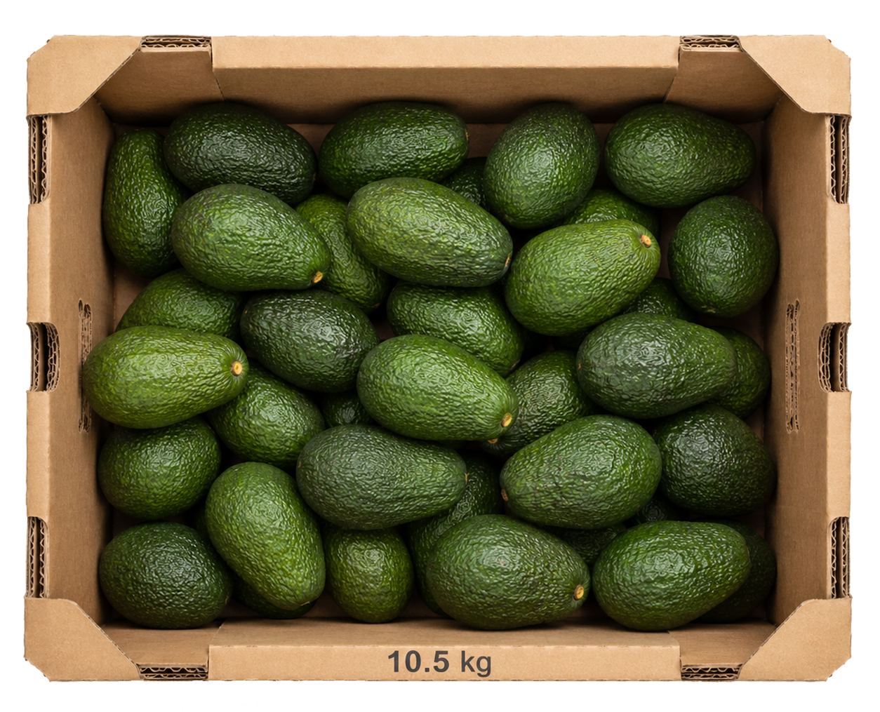 Caja cartón 10.5 kg