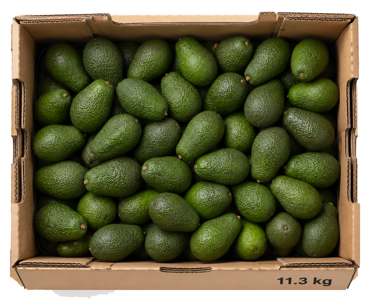 Caja cartón 11.3 kg