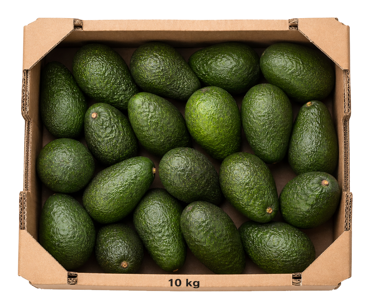 Caja cartón 10 kg